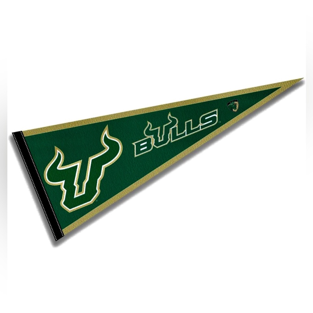 Pennant Full Size 12" x 30" USF Bulls